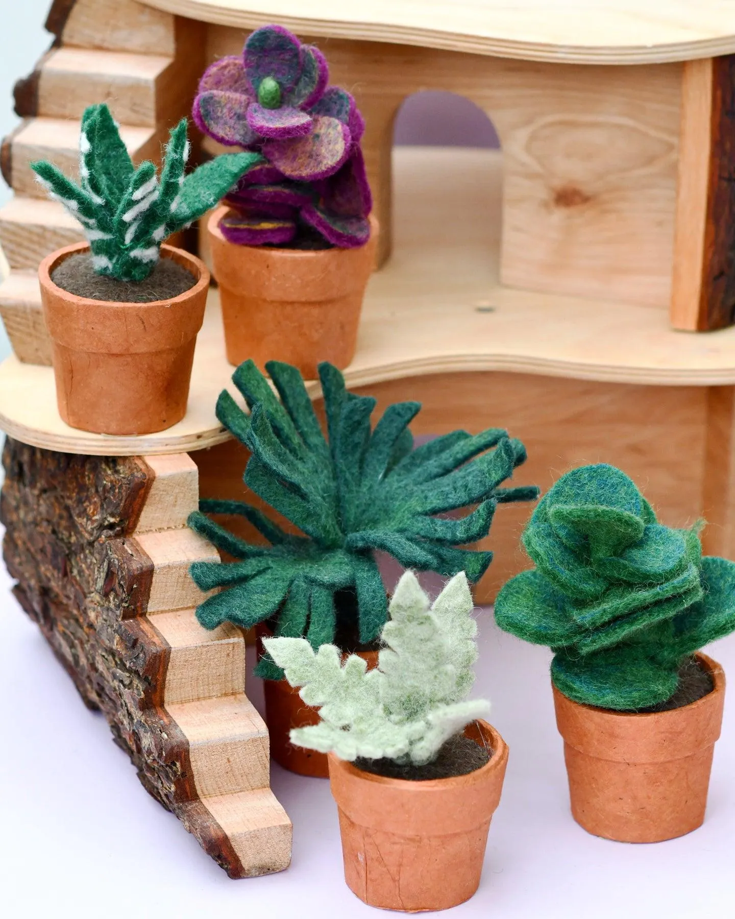 Felt Chalk Sticks Succulent Plant with Lokta Paper Pot