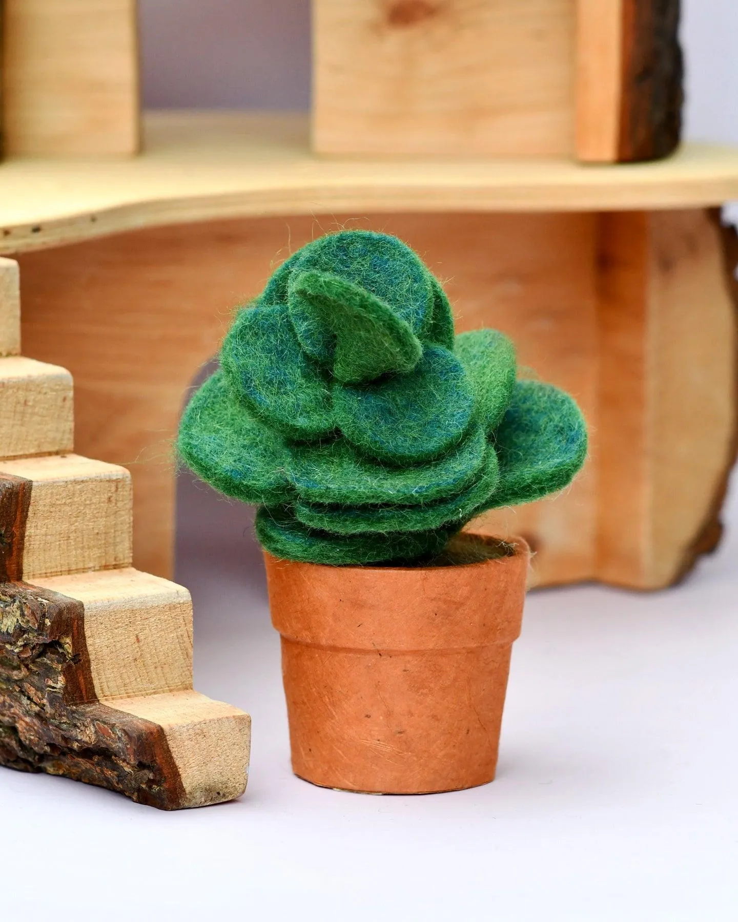 Felt Green Jade Succulent Plant with Lokta Paper Pot