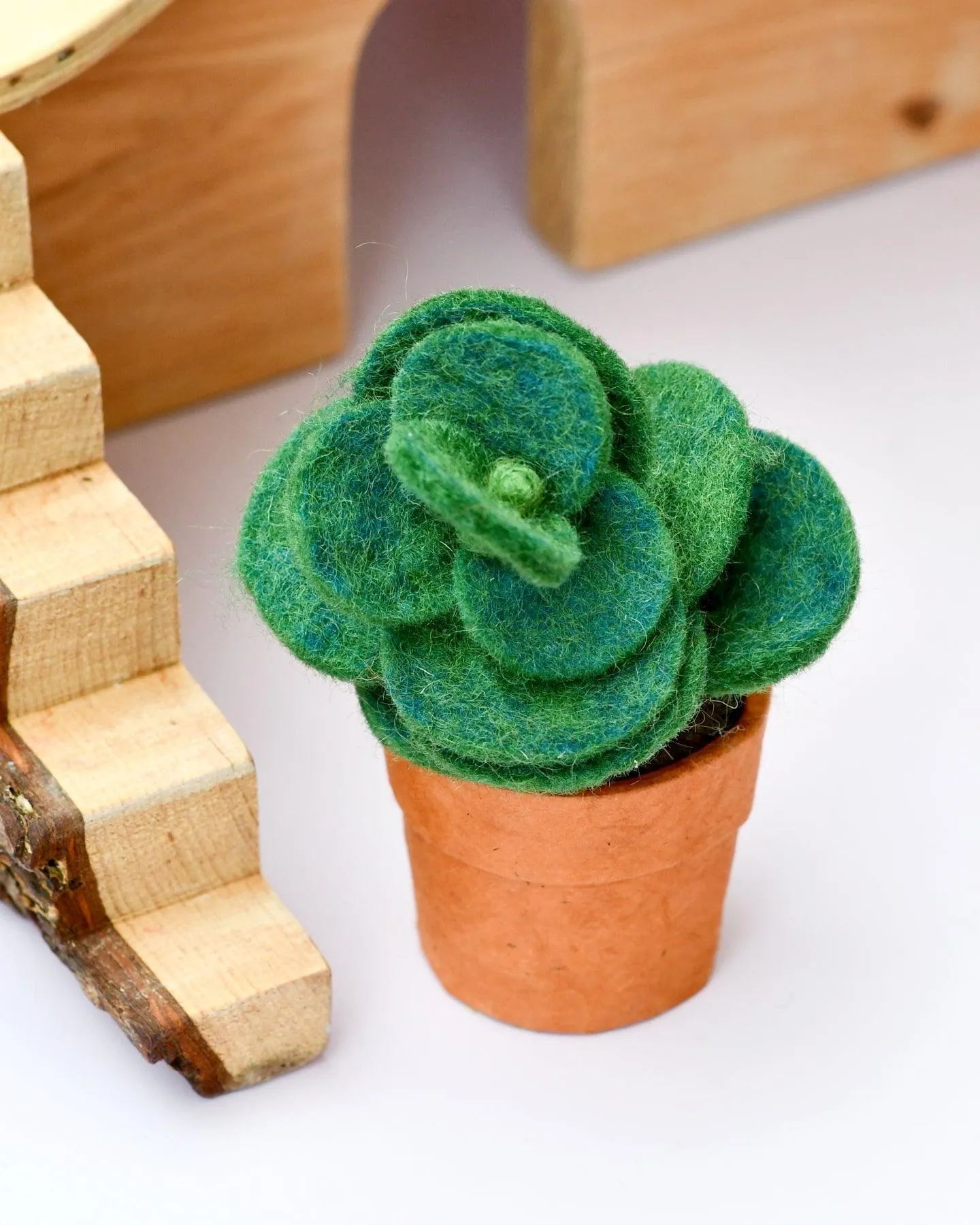 Felt Green Jade Succulent Plant with Lokta Paper Pot