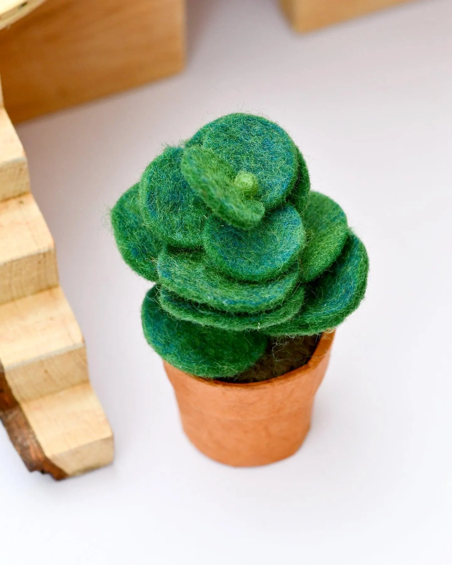 Felt Green Jade Succulent Plant with Lokta Paper Pot