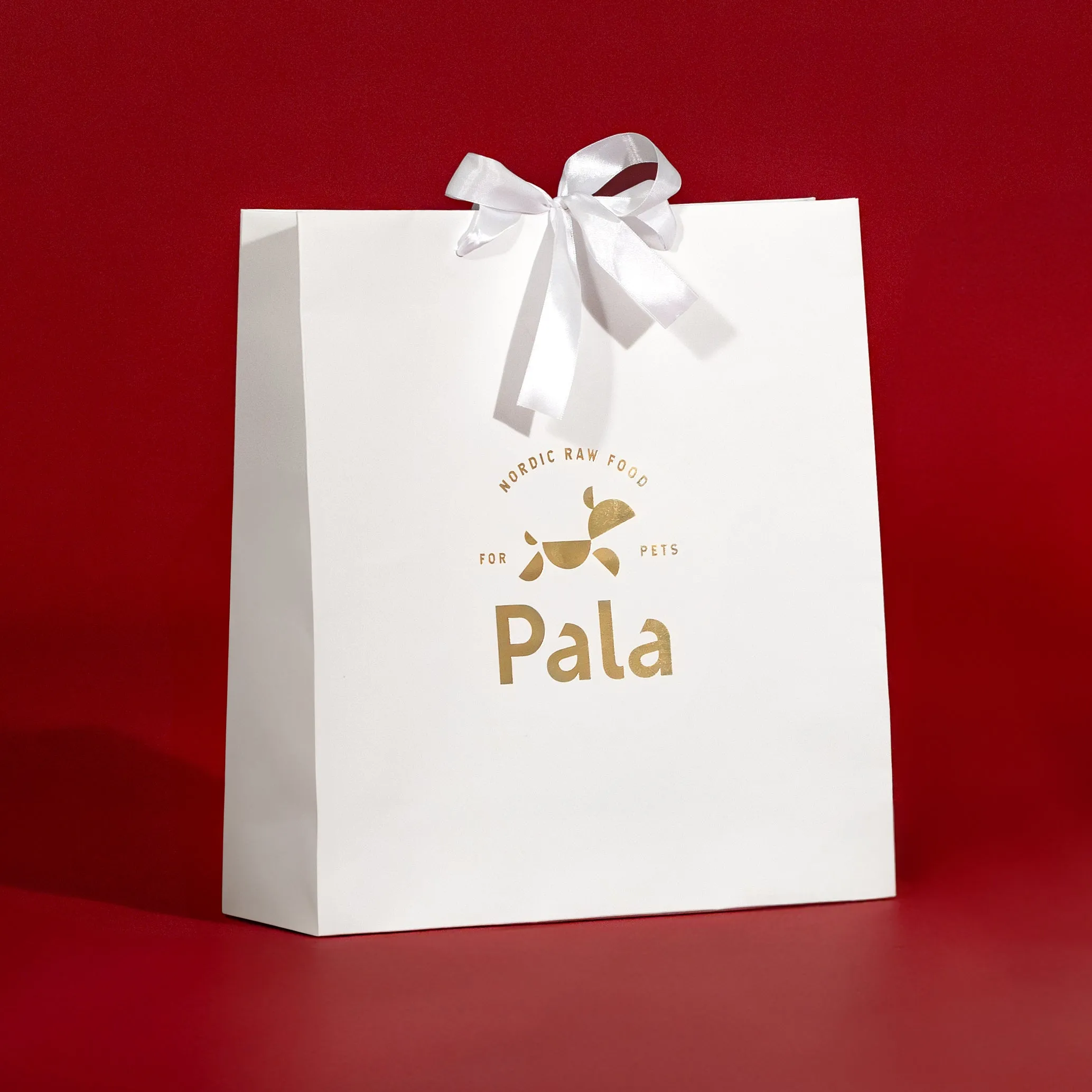 Festive Gift Bag