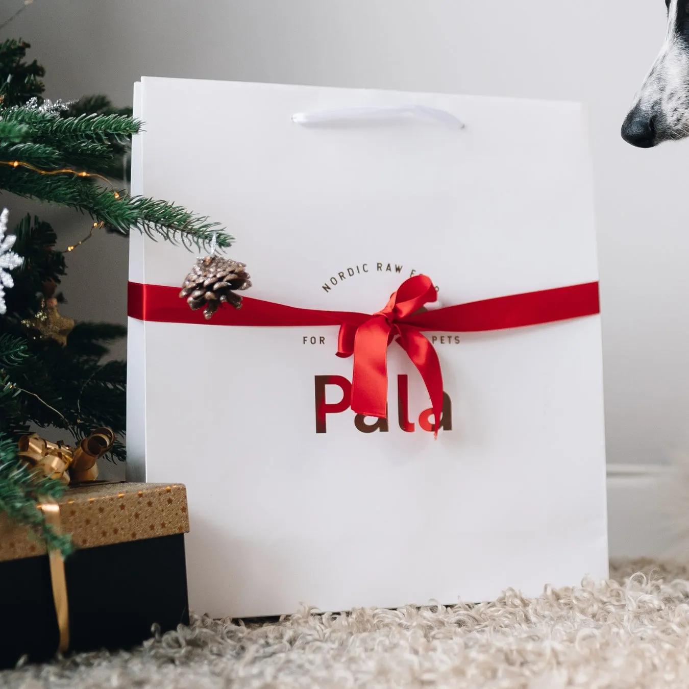 Festive Gift Bag