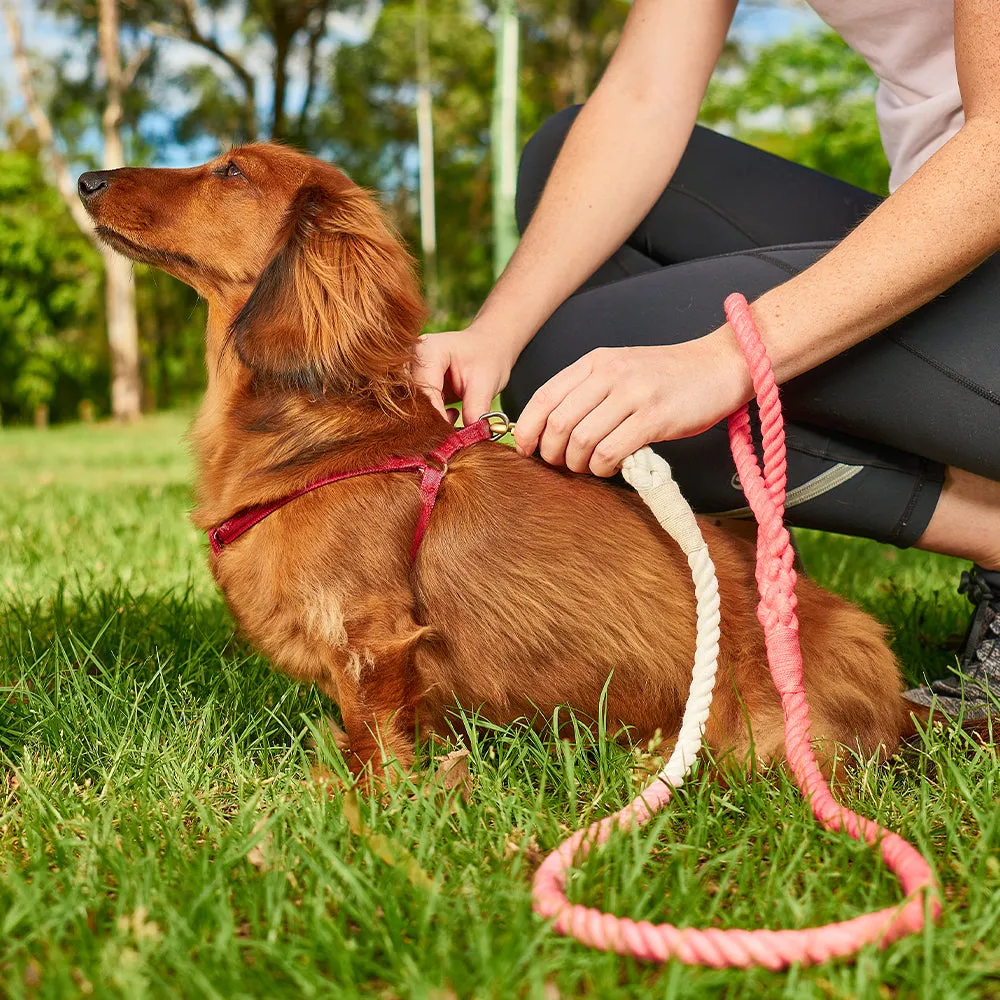 Hot Dog - Rope Lead