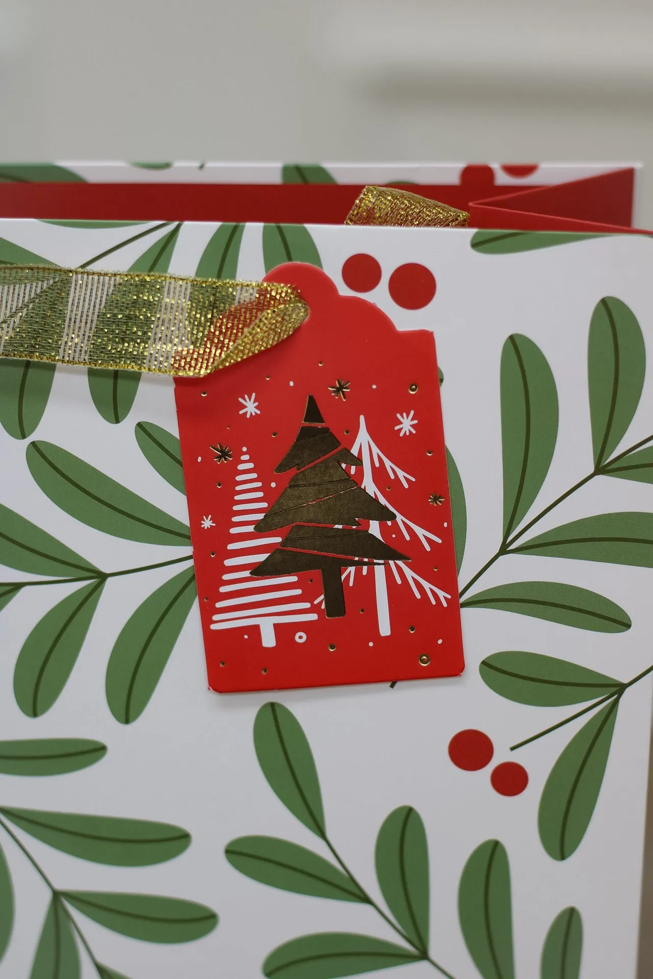 Merry Christmas Mistletoe Gift Bag