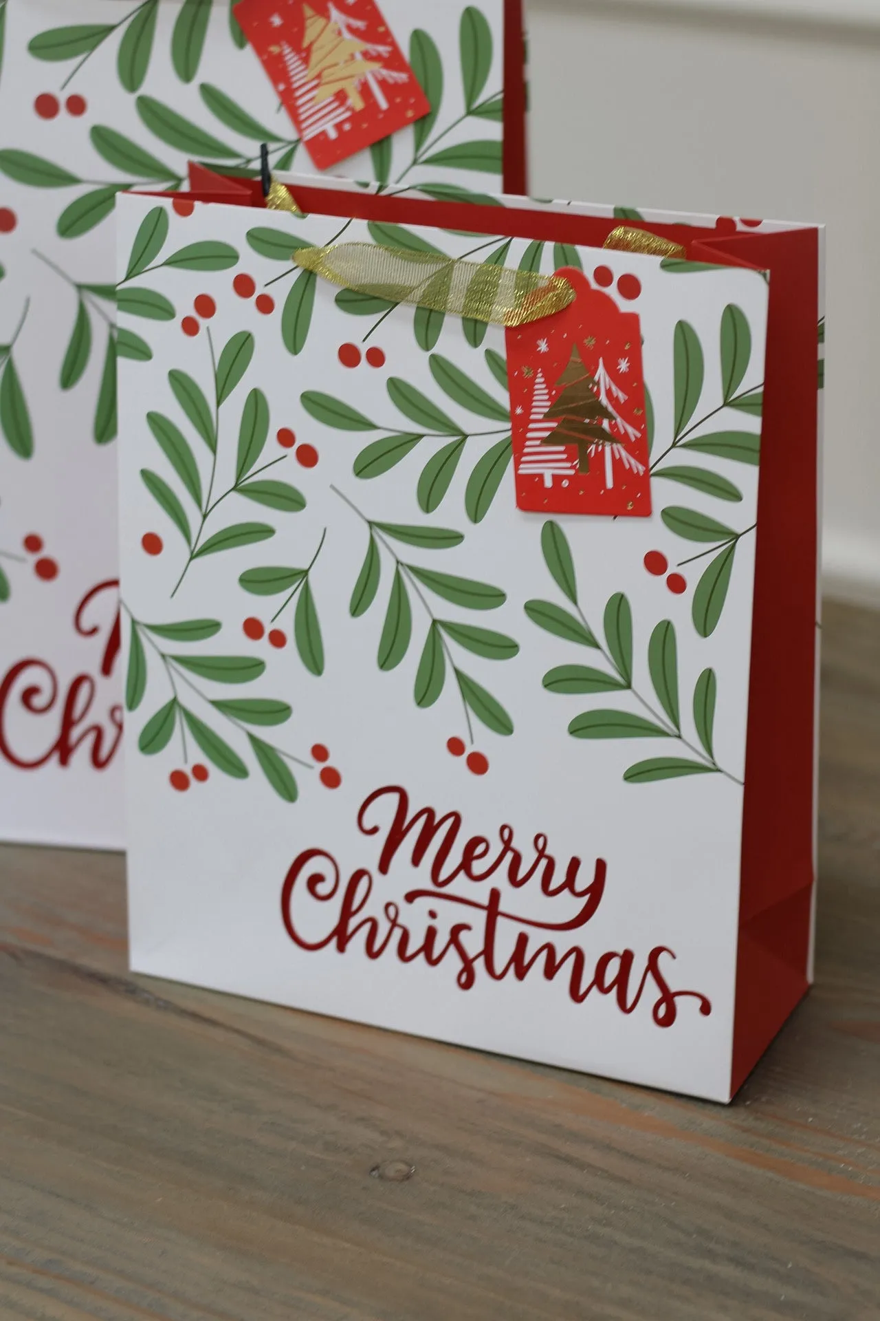 Merry Christmas Mistletoe Gift Bag