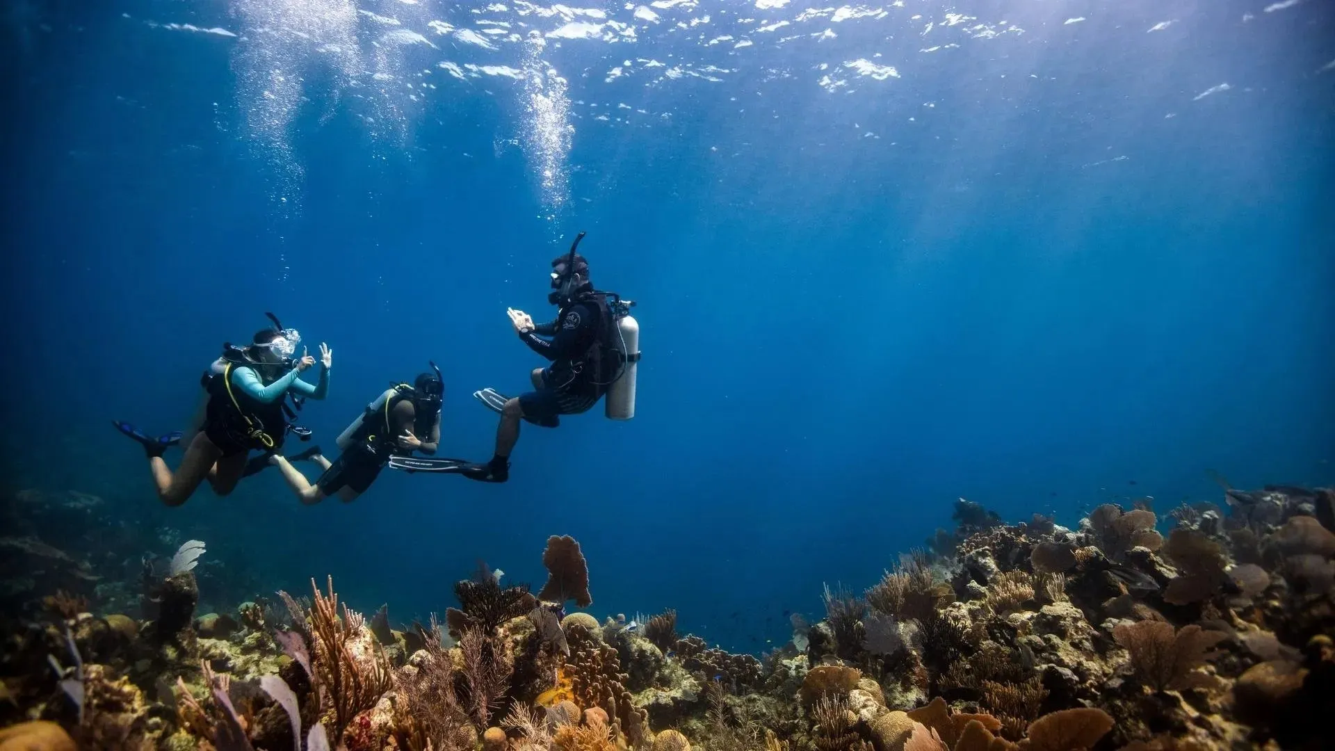 PADI Discover Scuba Diving Experience