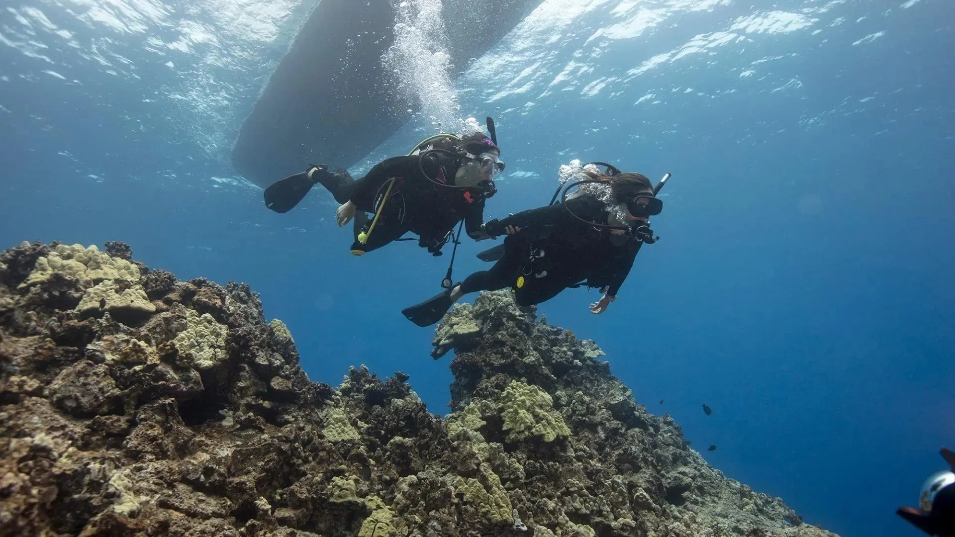 PADI Discover Scuba Diving Experience