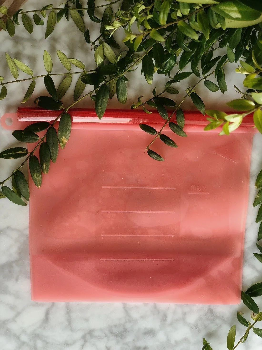 Reusable Silicone Food Bag