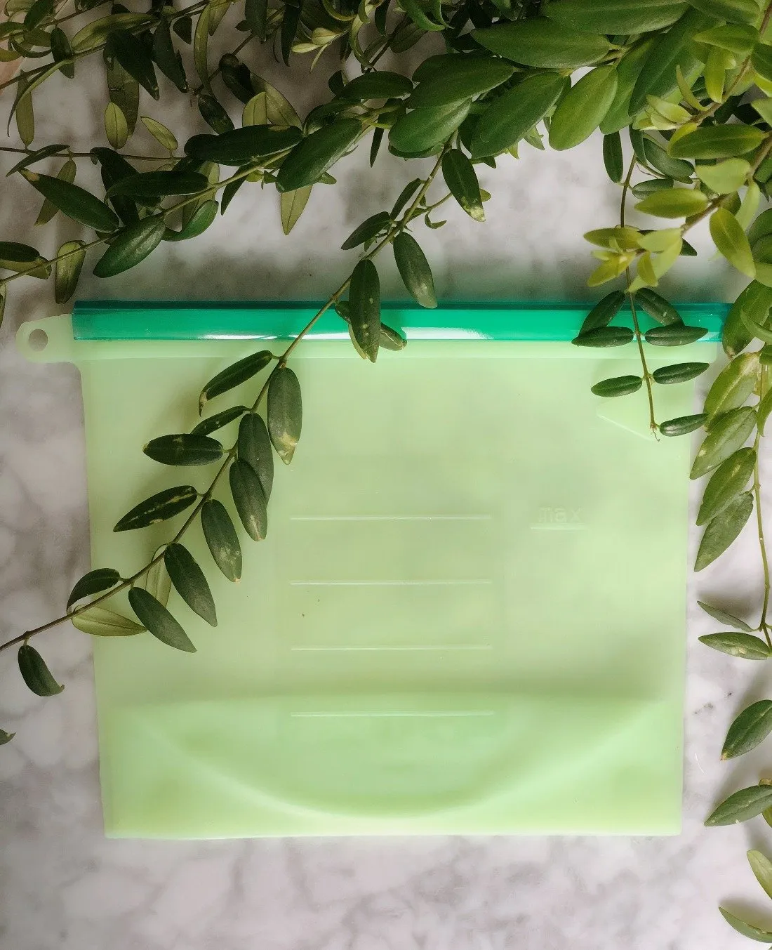 Reusable Silicone Food Bag