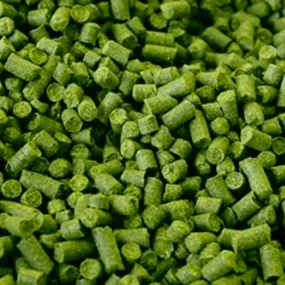 Saaz - (500g Pellet Hop)