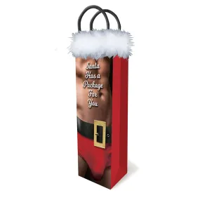 Santa Has A Big Package For You Gift Bag