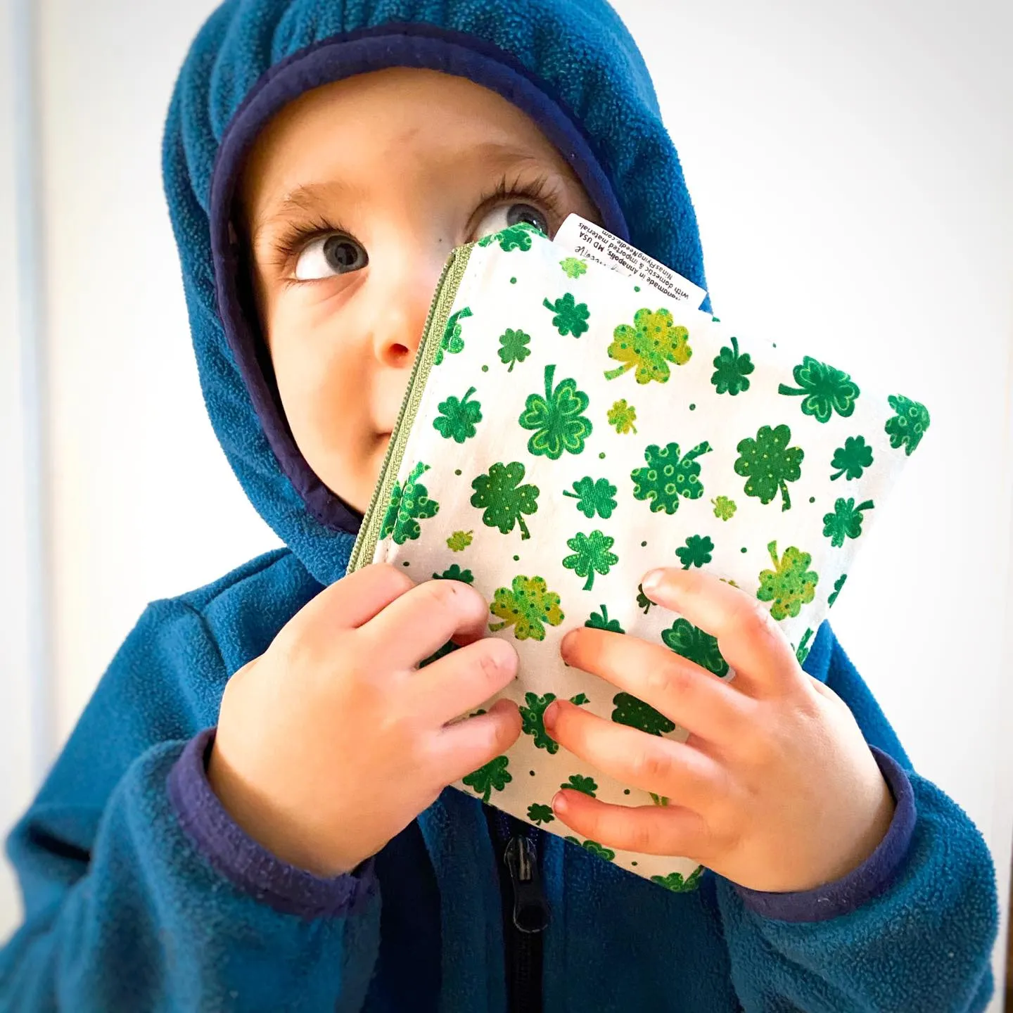 Toddler Sized Reusable Zippered Bag Lacrosse